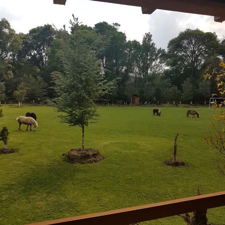 Отель Rancho San Antonio Уаска-де-Окампо Экстерьер фото